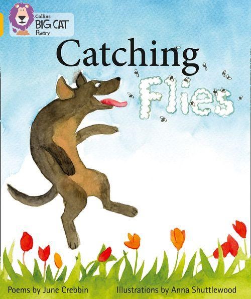 Catching flies. Catch the Cat 18. Catch a Fly game. Catch yourself Illustrator. Super Cat poem.