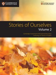 Stories of Ourselves Volume 2 - фото 10977
