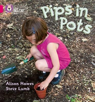Collins Big Cat Phonics - Pips In Pots: Band 01b/pink B - фото 14093