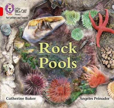 Collins Big Cat Phonics For Letters And Sounds — Rock Pools: Band 2b/red B 9780008357702 - фото 14233