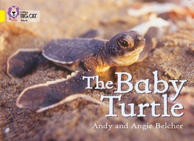 Collins Big Cat — The Baby Turtle: Band 03/yellow 9780007186594 - фото 14256