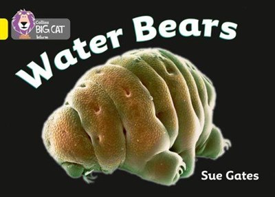 Collins Big Cat — Water Bears: Band 03/yellow 9780007329236 - фото 14263