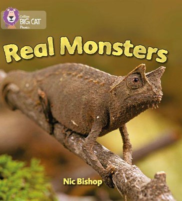 Collins Big Cat Phonics — Real Monsters: Band 03/yellow 9780007235988 - фото 14273