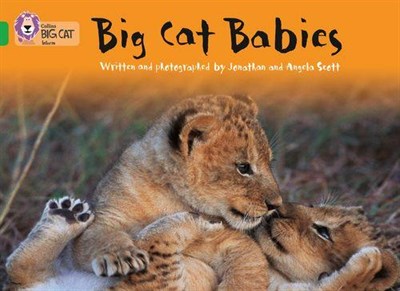 Collins Big Cat — Big Cat Babies: Band 05/green - фото 14378