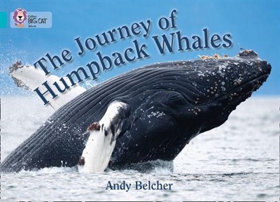 Collins Big Cat — The Journey Of Humpback Whales: Band 07/turquoise - фото 14483