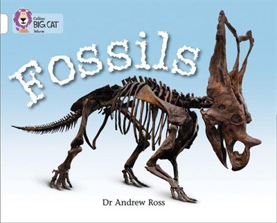 Collins Big Cat — Fossils: Band 10/white 9780007336197 - фото 14562