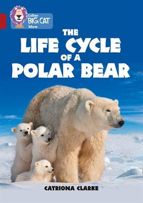 Collins Big Cat — The Life Cycle Of A Polar Bear: Band 14/ruby - фото 14732