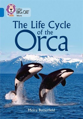 Collins Big Cat — The Life Cycle Of The Orca: Band 16/sapphire - фото 14810