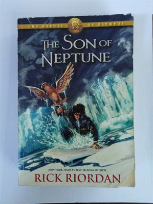 The Son of Neptune (Heroes of Olympus) Paperback - фото 16261