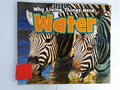 Water (Why Living Things Need) Paperback - фото 16464