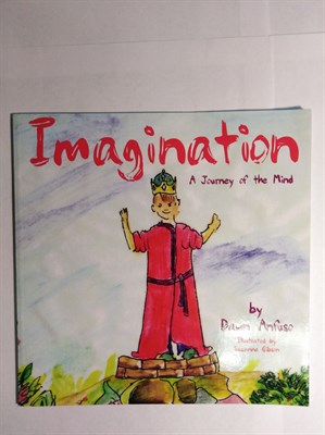 Imagination: A Journey of the Mind Paperback 9781419665912 - фото 16530