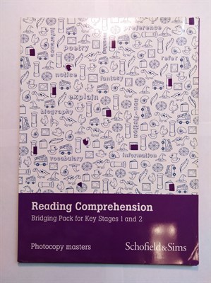 Reading Comprehension Bridging Pack - фото 16623