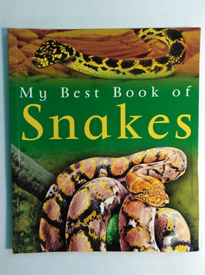 My Best Book of Snakes 9780753412756 - фото 16699