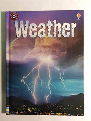 Weather: For tablet devices (Usborne Beginners) - фото 16890