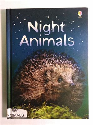 Night Animals (Usborne Beginners) (Beginners Series) 9780746080504 - фото 16894