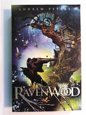 Ravenwood Paperback 9781906427467 - фото 16996