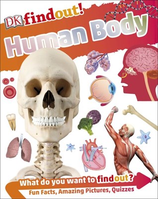 Human Body DKfindout! - фото 17283