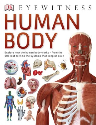 Human Body Eyewitness - фото 17335