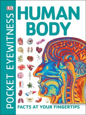 Pocket Eyewitness Human Body - фото 17442