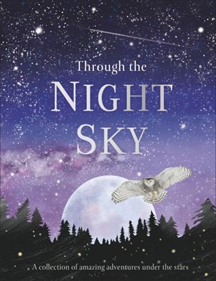 Through the Night Sky - фото 17866