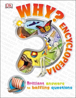 Why? Encyclopedia 9781409352075 - фото 17920