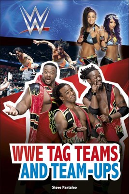 WWE Tag Teams and Team-Ups - фото 17932