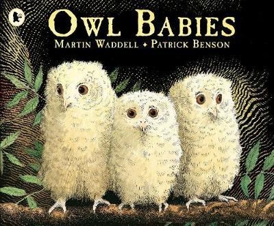 Owl Babies 9780744531671 - фото 18511