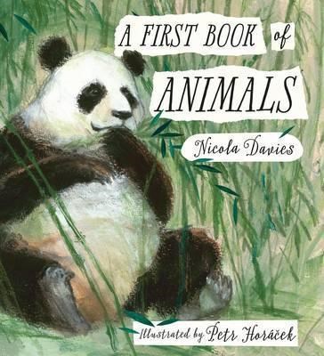 A First Book of Animals - фото 18617