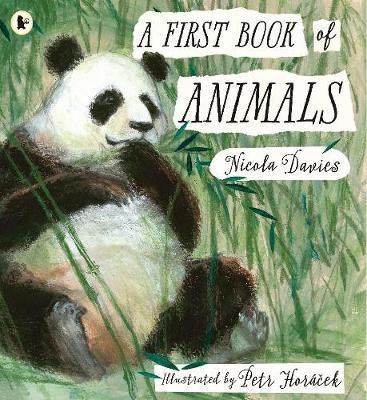 A First Book of Animals - фото 18618