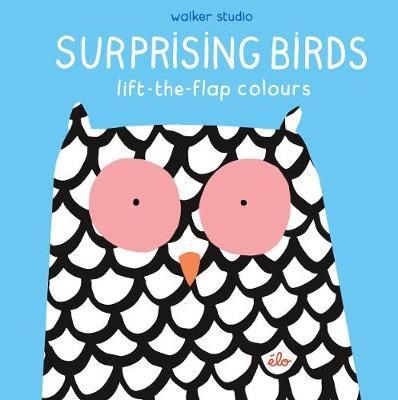 Surprising Birds: Lift-the-Flap Colours - фото 18635