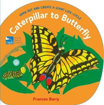 Caterpillar to Butterfly - фото 18784