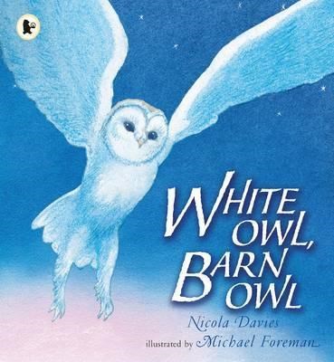 White Owl, Barn Owl - фото 19469