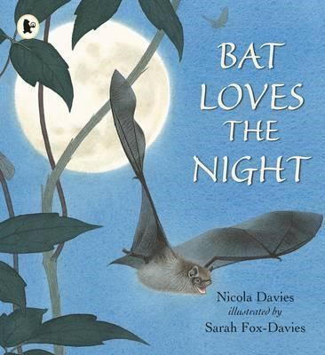 Bat Loves the Night - фото 19470