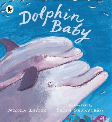 Dolphin Baby - фото 19471