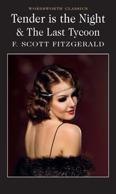 Tender is the Night / The Last Tycoon 9781840226638 - фото 19597