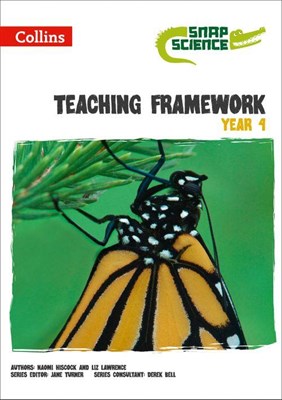 Teaching Framework Year 4 - фото 20725
