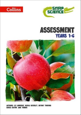 Assessment Years 1–6: Digital Download - фото 20729