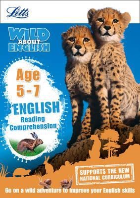 Reading Comprehension Age 5-7 9781844198894 - фото 21022