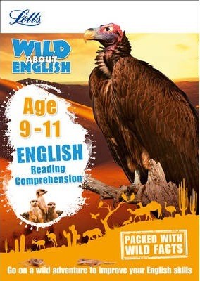 Reading Comprehension Age 9-11 9781844197842 - фото 21046