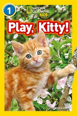 Play, Kitty! - фото 21355