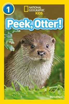 Peek, Otter! - фото 21358
