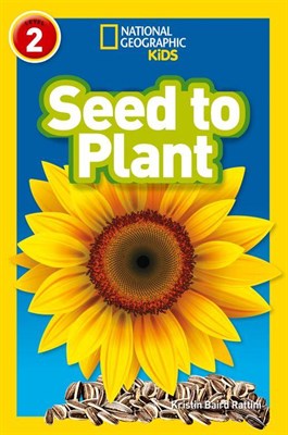Seed to Plant - фото 21364