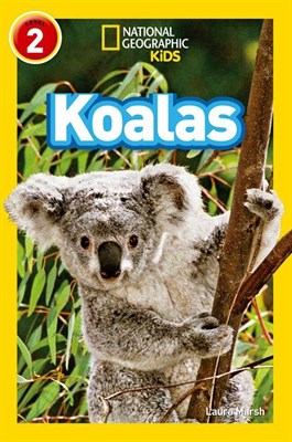 Koalas - фото 21368