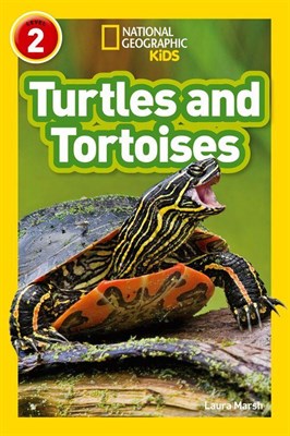 Turtles and Tortoises - фото 21370