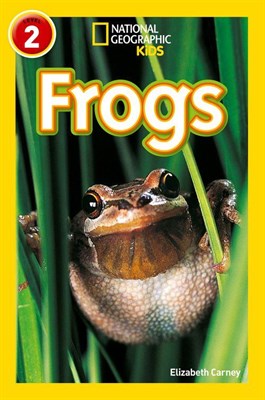 Frogs - фото 21371