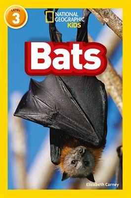 Bats - фото 21382