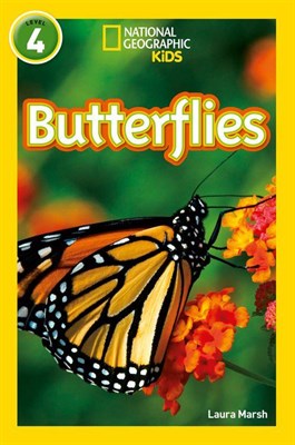 Butterflies - фото 21397