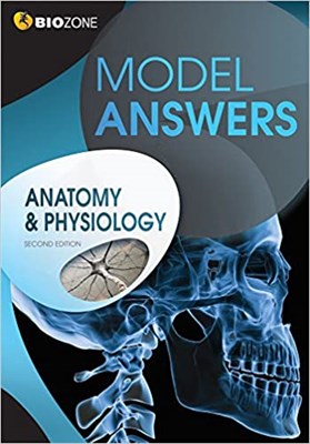 Anatomy & Physiology Model Answers - фото 21743