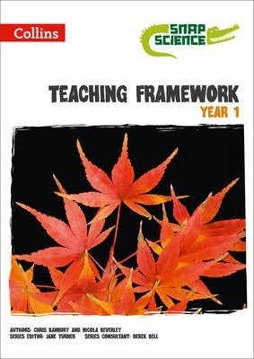 Teaching Framework Year 1 - фото 21883