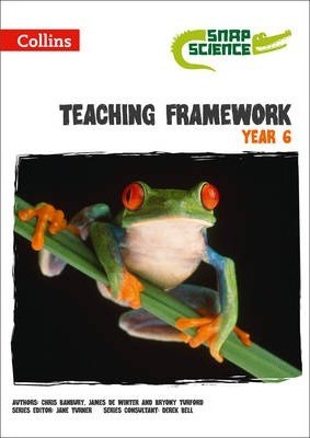 Teaching Framework Year 6 - фото 21887